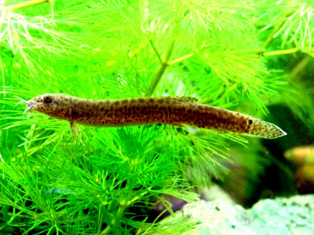 201d95426f847e10df82cd59ef46d938_s