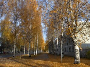 7e79fb68f2d4294480a64fb8b950a6e4_s