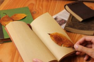 f04c9b1fb20e0c051269a42a47b89591_s