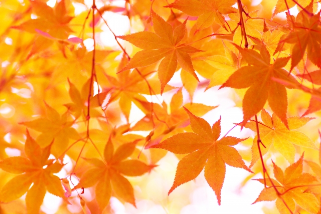 e407efab901acb6aa301dea6463b1de5_s