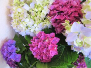 ★IMG_3256 - コピー