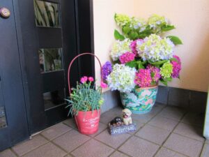 ★IMG_3247 - コピー