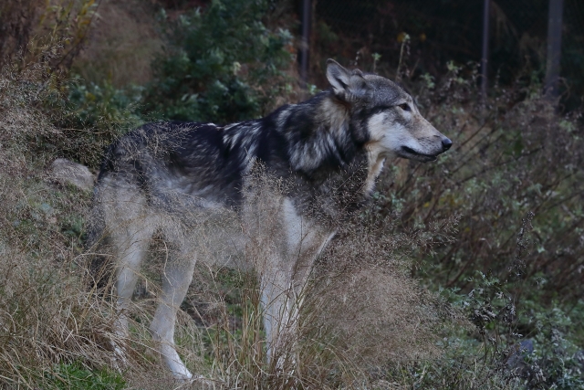 5b2c8f37e7a4cb458828893e358a2e67_s