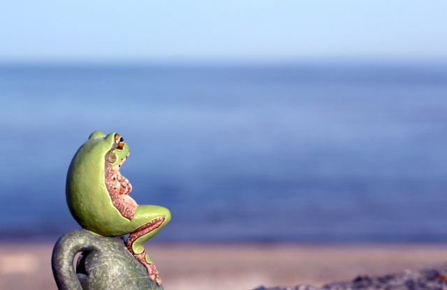 fde32cf3f8703b2db919b389cac49c37_s